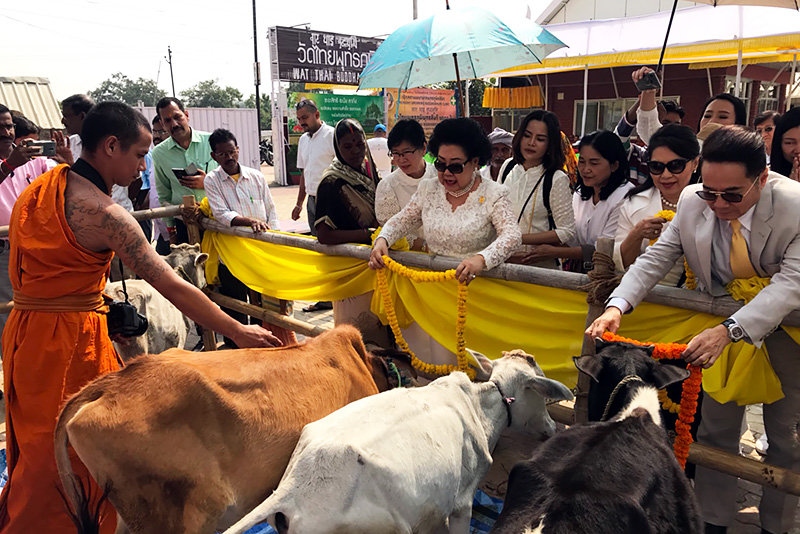 For Peace and Prosperity